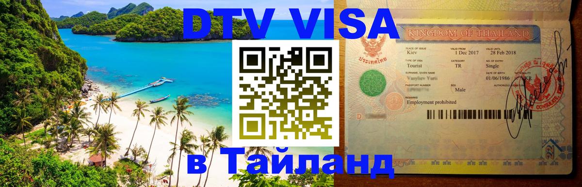 Сколько стоит DTV виза — актуальные цены, оформление даже без документов - Долгопрудный 